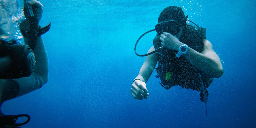 Diver